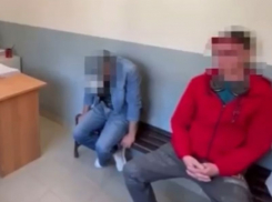 В Краснодарском крае поймали двух голых «дельфинов», осталась «русалка» 