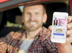 С октября новороссийцы смогут предъявлять электронные водительские права