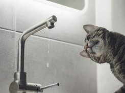 Вечером Новороссйиск останется без воды