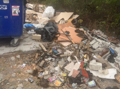 «Не крысы, а мамонты» расплодились на мусорках Новороссийска