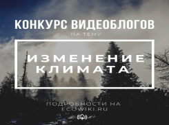 Новороссийцам предлагают принять участие в экоконкурсе