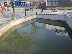 «Как там рыбы ещё не погибли?» - грязный пруд вызывает вопросы у новороссийцев 