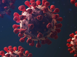 11 заболевших коронавирусов в Новороссийске 