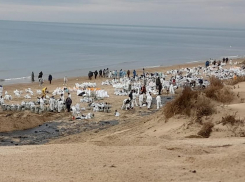 Усиленный контроль: что показали пробы воды в Черном море после разлива мазута 