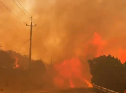 Пострадавшие в мегапожаре в Дюрсо могут получить компенсацию 