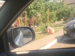 Гости из культурной столицы некультурно ведут себя в пригороде Новороссийска