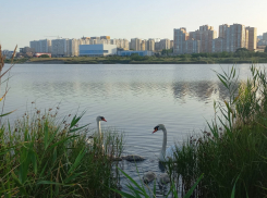 Погода в Новороссийске: небольшое похолодание и ветерок