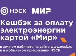 Акция «Кешбэк за оплату электроэнергии картой «Мир»