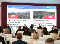Краснодарский край с начала 2021 года на четверть увеличил экспорт вина