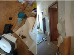 «Весь дом за*сан, мухи, опарыши»: квартиранты оставили сюрприз новороссийцам 