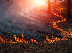 Еще один пожар произошел близ Новороссийска этим утром