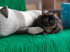 Рыбам нужно замедлиться, а Скорпионы проживут продуктивный день