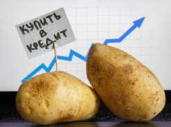 За последний год в Новороссийске цены на картофель выросли на 71%