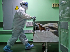 Ковид продолжает «атаковать» здоровье новороссийцев: новые зараженные 