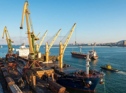 Новороссийский морской порт вошел в число эконарушителей
