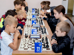 Шахматы становятся популярнее: в Кубке главы Новороссийска приняли участие 170 спортсменов