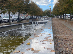 Дежурный по городу: что произошло в Новороссийске за сутки 12 октября