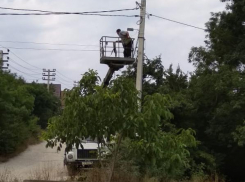 Кобры спасут жителей пригорода Новороссийска