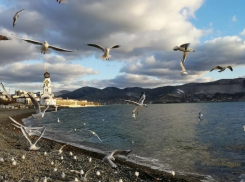 В среду в Новороссийске жара немного спадет