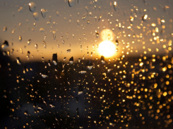 Синоптики обещают дождь в Новороссийске ﻿