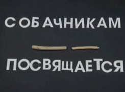 Жительница Новороссийска посвятила мультфильм нерадивым собаководам
