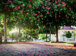 Воскресенье обещает много солнца новороссийцам 