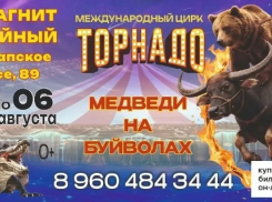 Цирк «ТОРНАДО» привозит обновленную программу, которая полностью отличается от предыдущих лет