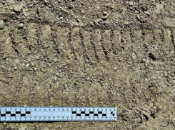 Утренняя прогулка удалась: в Новороссийске мужчина присвоил чужие вещи и карту, оставленные без присмотра