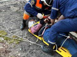  Выпавшую из окна пожилую женщину спасли в Новороссийске