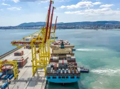 Морпорт Новороссийска нарушил условия лицензии 