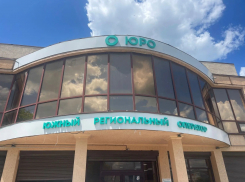 Новороссийцам напомнили об оплате услуг по вывозу мусору: как избежать пени и судебных приказов