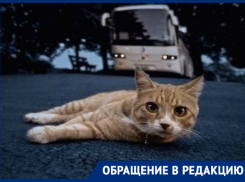 После ремонта дороги в пригороде Новороссийска беда не заставила себя долго ждать