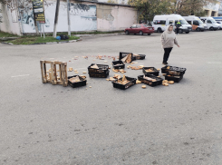 В Новороссийске появилось по-настоящему хлебное место 
