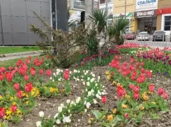 День прояснит много скрытого и поможет наладить общение