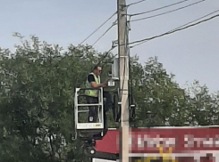 Где ещё появятся камеры, штрафующие «за всё» в Новороссийске