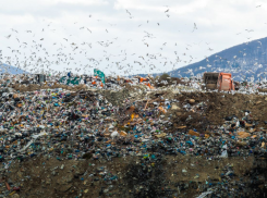  Свалка ещё горит: в Новороссийске обсудили ситуацию с горящей Щелбой