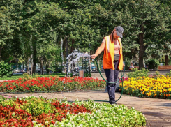 В Новороссийске клумбы поливают питьевой водой: что с этим делать?