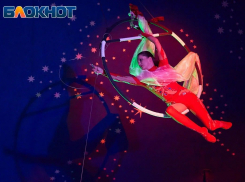 Волшебный мир цирка шапито «Карнавал» ждёт в Новороссийске