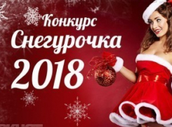 Завершен прием заявок на конкурс «Снегурочка 2018» 