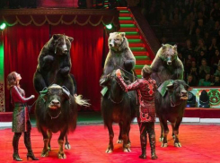 «Этот цирк уедет и клоунов не оставит!»: цирк-шапито «Торнадо» даёт заключительные выступления в Новороссийске