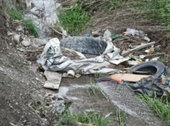 Чьи колеса? Новороссийцы пожаловались на грязный арык в Цемдолине