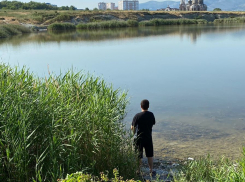 «Испражняются прямо в лиман»: новороссийцы в шоке от наглости отдыхающих