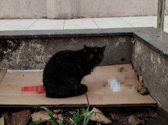 ТОП-10 лучших и худших УК назвали в администрации Новороссийска