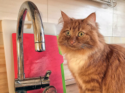 На следующей неделе в Новороссийске отключат холодную  воду: «Блокнот» расскажет – где