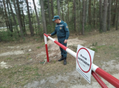 Никаких шашлыков в лесу! В Новороссийске возобновили режим ограниченного пребывания в лесах.