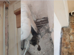 «Чините за свой счет»: руководство одной из новороссийских школ не оставляет выбора родителям