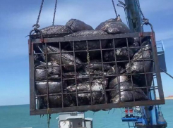 Ученые: в Черном море концентрация мазута уменьшилась на 50%