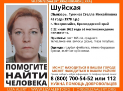 Пропала без вести: в Новороссийске разыскивают местную жительницу 