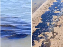 «О каком сезоне речь?»: в Крыму и Анапе фиксируют новые выбросы