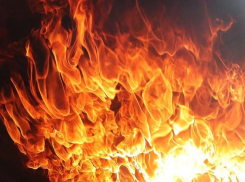 В Новороссийске с начала года произошло 45 пожаров